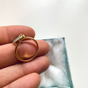 White Shell Golden Ring